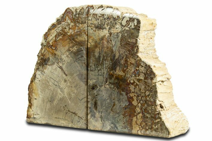 Tall Colorful Petrified Wood Bookends - Madagascar #344703